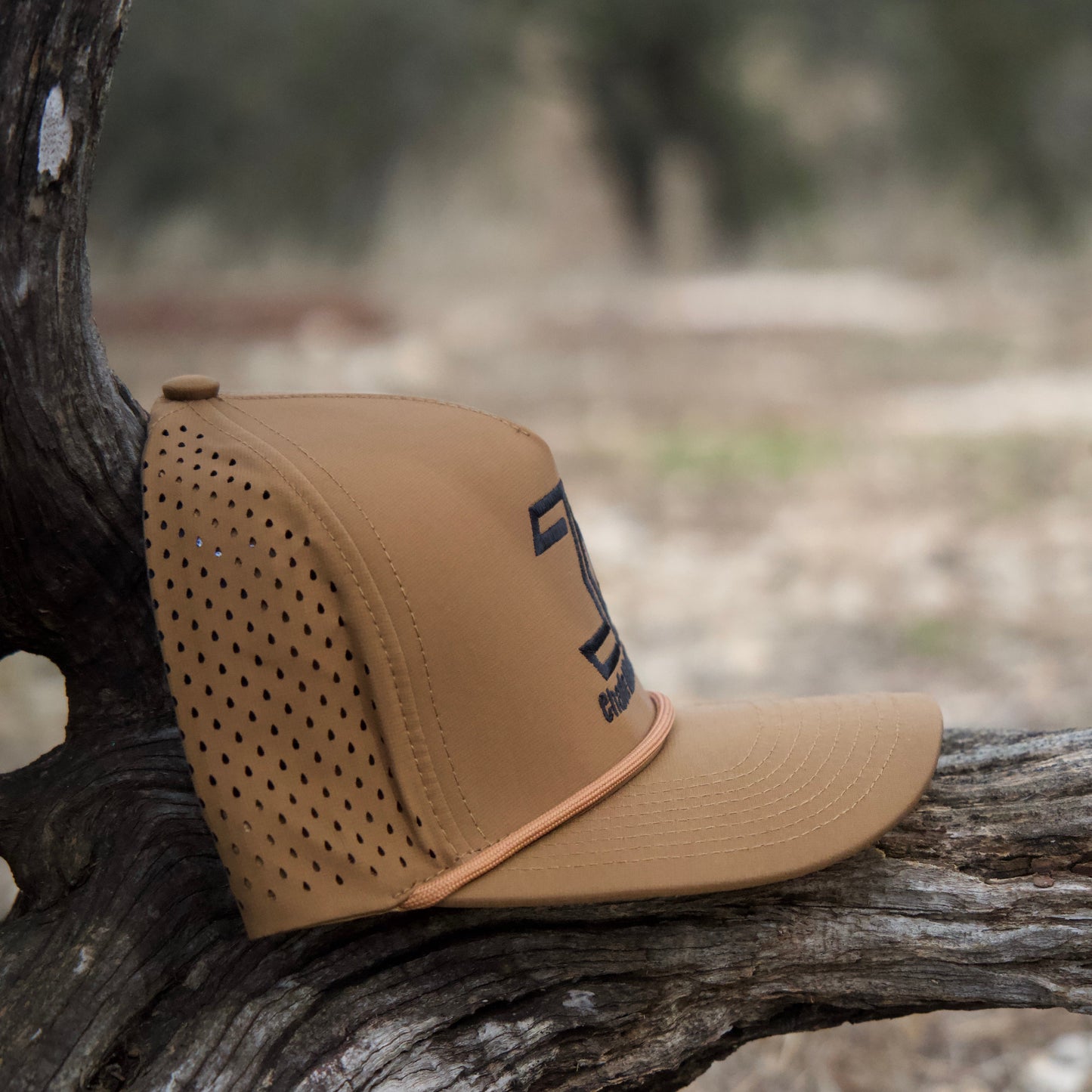 The OG in Camel